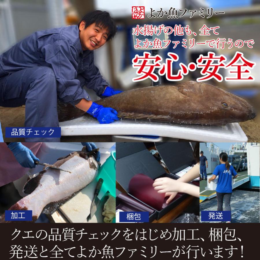 お歳暮 ギフト 長崎産天然クエと真鯛の海鮮丼セット(クエだし醤油付き) ギフト 送料込み 産地グルメ クエ刺身 鯛刺身 プロトン冷凍 よか魚イチオシ