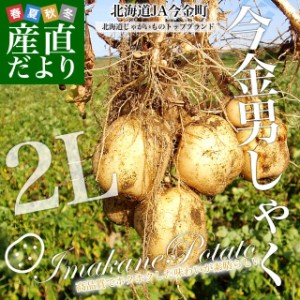 北海道産 JA今金町 じゃがいも 今金男爵 2Lサイズ 約10キロ(45玉前後入り)　送料無料 馬鈴薯 ジャガイモ 芋 男爵芋　市場発送