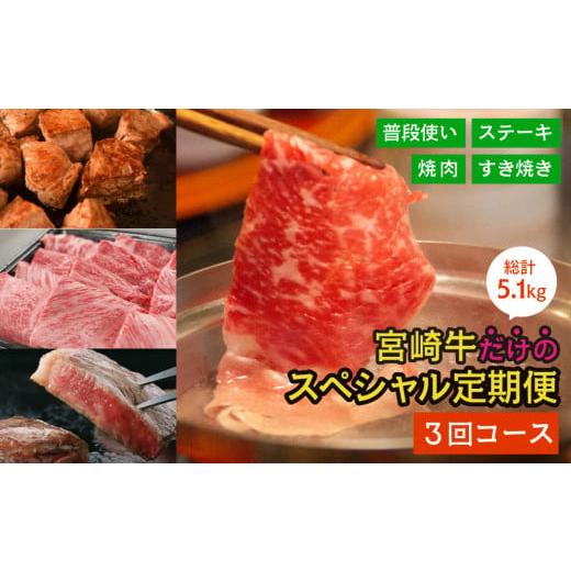 ふるさと納税 宮崎県 美郷町  スペシャル 定期便 3ヶ月コース 合計5.1kg モモ 焼肉 ステーキ 赤身 サイコロ スライス クラ…