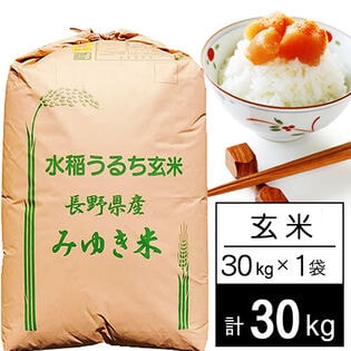 令和5年産 長野県産 幻の米 コシヒカリ 1等玄米