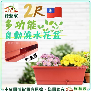 【綠藝家】2尺多功能自動澆水花盆(含底盤)
