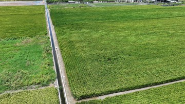 西港區後營7.6分農地-專約｜台南市西港區八分段