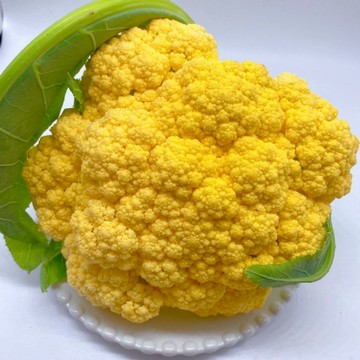 台灣現貨🥦黃金花椰菜種子🥦 陽台盆栽可種 橙黃色寶塔 胡蘿蔔素豐富 口感鮮甜 居家有機栽培 四季高產 新手種植超簡單！