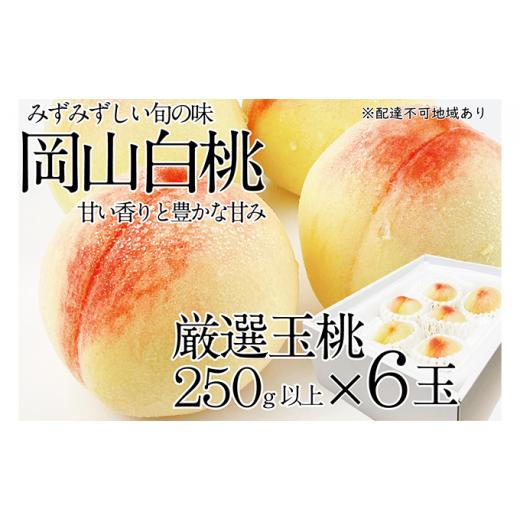 ふるさと納税 岡山県 里庄町 桃 2024年 先行予約 岡山の白桃 250g以上×6玉 白桃 旬 みずみずしい 晴れの国 おかやま 岡山県産 フルーツ王国 果物王国