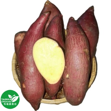 [家速配]有機金時地瓜500g