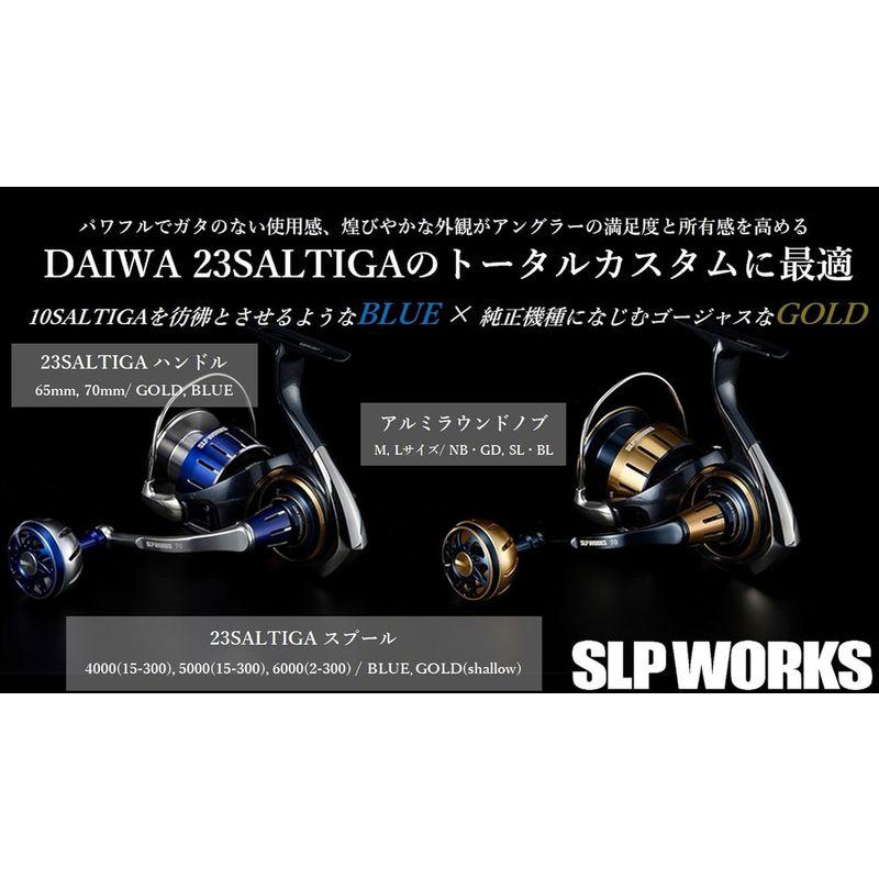 ダイワslpワークス(Daiwa Slp Works) 23 ソルティガ シャロースプール