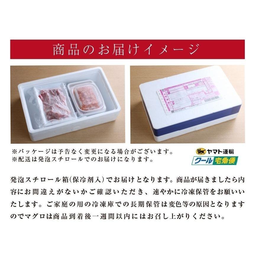 まぐろ マグロ 鮪 国産 本鮪 伊達マグロ 赤身 ブロック 柵 刺身 300g 2〜3人前