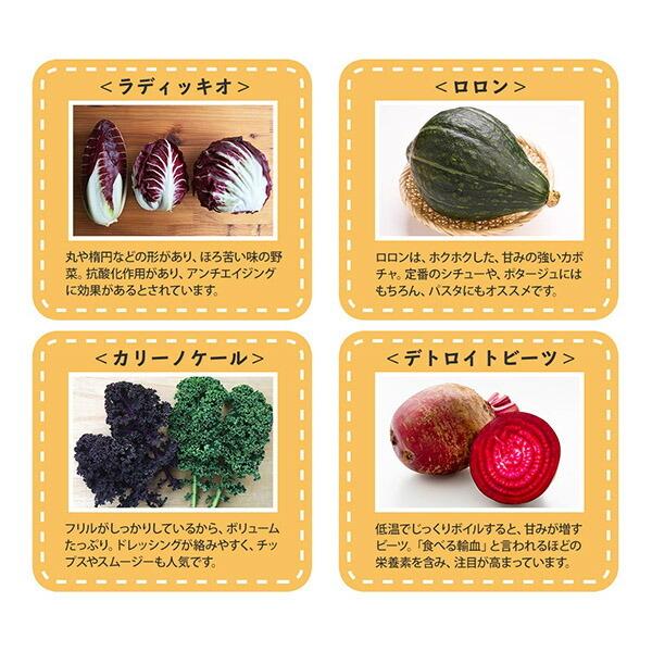 冬ギフト ヨーロッパ野菜 詰め合わせ スタンダード セット 6-8品目 珍しい 野菜 set プレゼント お取り寄せ