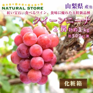 [最短順次発送]  クイーンニーナ 2房 約1kg 山梨県産 他 約500g x2 紅い宝石 ぶどう ブドウ 葡萄  化粧箱 専箱  夏ギフト 御中元 お中元