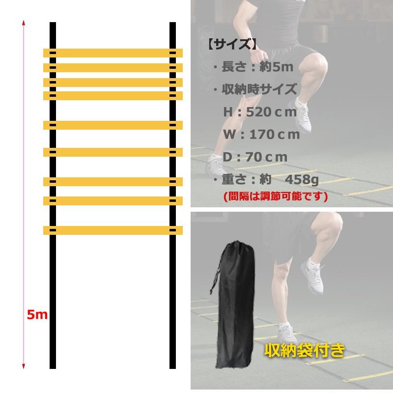 ラダー トレーニング サッカー トレーニングラダー 5m 野球