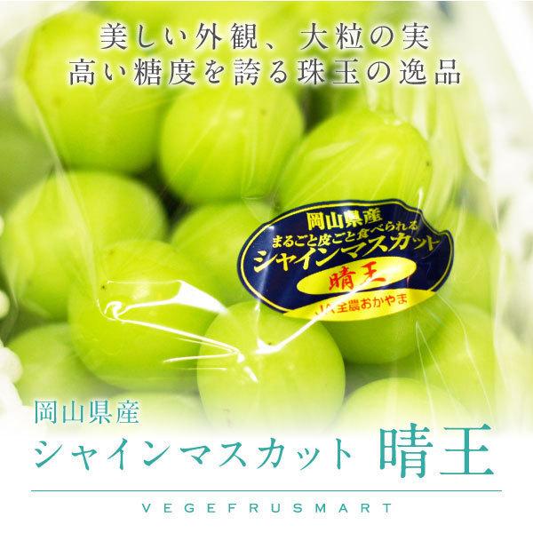 シャインマスカット 贈答用 晴王 岡山県産 赤秀品 500g×2房 大粒 送料無料