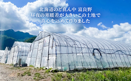 北海道 富良野産 朝穫り 白い とうもろこし 10本入り (吉中農園)
