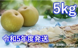 6-J07　梨（幸水）約5kg