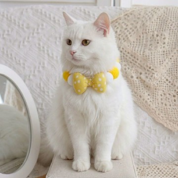 🐩狗狗貓咪裝🐈 寵物項圈 生日佈置 收涎佈置 收涎派對 週歲生日佈置 性別派對 寵物生日佈置套組 氣球佈置 週年紀念日