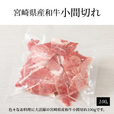 ふるさと納税 木城町 宮崎牛肩ローススライス300g　宮崎県産和牛小間切れ100g (木城町)