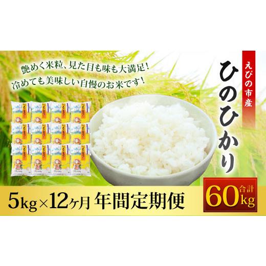 ふるさと納税 宮崎県 えびの市  えびの産 ひのひかり 5kg×12ヶ月 合計60kg