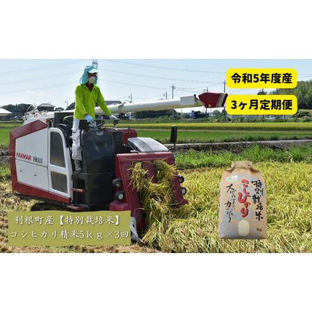 ふるさと納税 利根町産コシヒカリ　精米5kg×3回 茨城県利根町