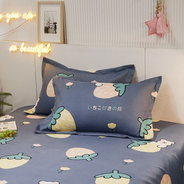 斜紋枕套枕頭套加厚磨毛單人單只學生宿舍一對枕芯套48x74cm耐臟