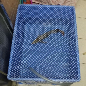 統編發票 塑料箱網罩魚缸防跳網烏龜箱防逃網圓形魚缸防魚跳網魚池防落葉網 魚缸蓋 防跳蓋 防貓蓋 防跳網 魚缸網