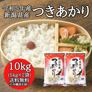 新潟県産 つきあかり 10kg （5キロ×2袋）  米 10キロ 送料無料 精米 令和5年 10kg お米