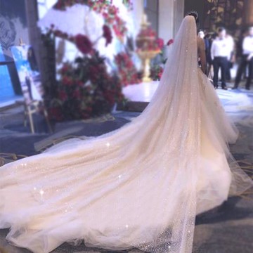 抖音拖尾網紅拍照頭飾香檳色婚紗