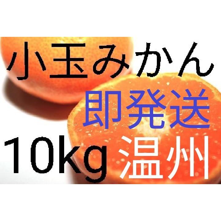 （送料無料）（小玉みかん10kg）佐賀の甘くて美味しい温州みかん（訳ありご家庭用）(送料無料は東北、沖縄、北海道を除きます。)