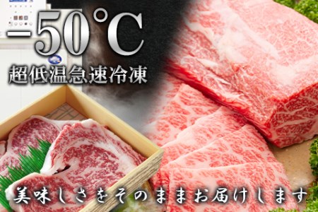 ロースステーキ＆焼肉セット1kg