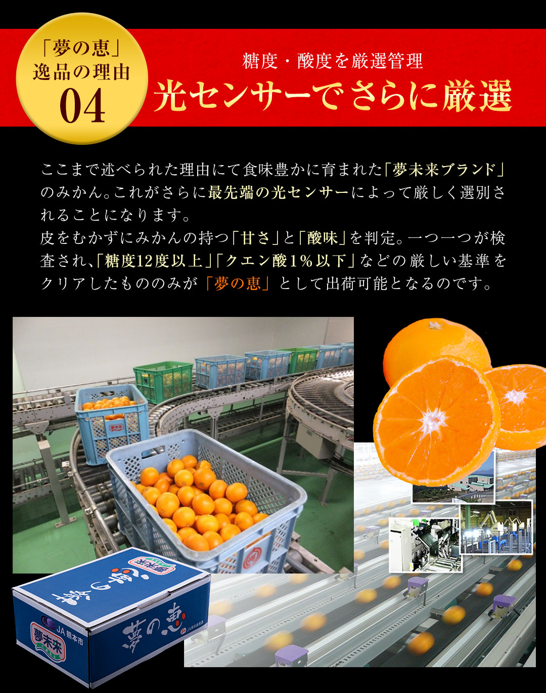 夢の恵 みかん 2.5kg前後(20玉〜30玉前後) 糖度12度以上 ブランド みかん ブランド 贈答用 糖度 12度 以上 熨斗 7-14営業日以内に発送予定(土日祝日除く)