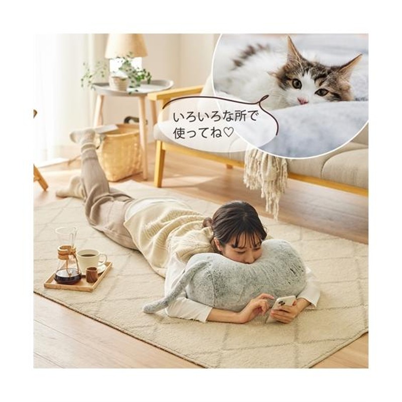 福袋 3点セット 猫Feel 猫フィール 猫とくつろぐ クッション