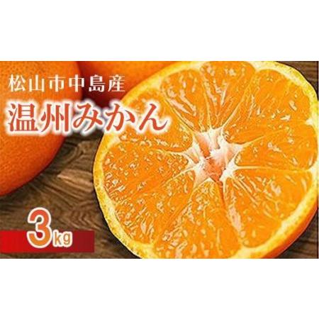 ふるさと納税 松山市中島産 温州みかん 約3kg （愛媛県産 みかん 蜜柑 オレンジ みかん 柑橘 果物 フルーツ みかん 家庭用 お取り寄せ みかん お.. 愛媛県松山市