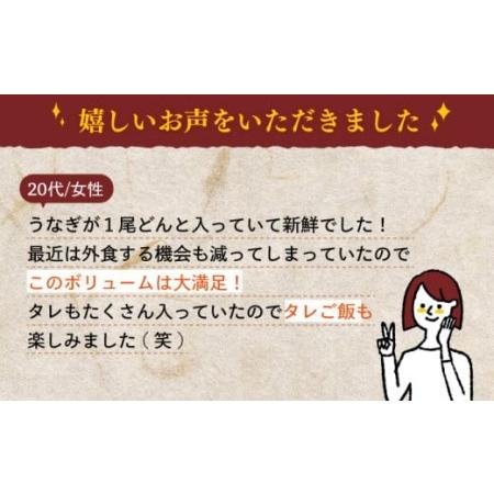 ふるさと納税 極上 特大 うなぎ セット 3尾 ・タレ付き)[NAK006] うなぎ 鰻 ウナギ 炭火焼うなぎ 炭火焼鰻 炭火焼ウナギ 手焼き.. 佐賀県嬉野市