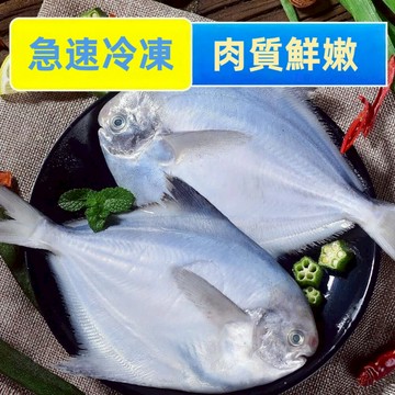 【吾家有貓-海鮮屋 】船上急凍頂級白鯧 約500-600g 年菜必備