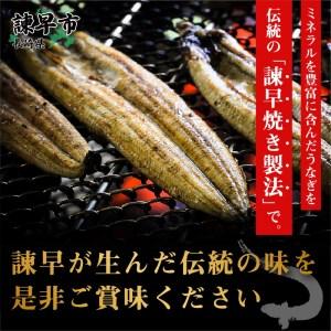 ふるさと納税 うなぎ白焼き6尾 長崎県諫早市