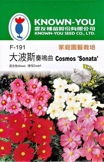 小包裝 矮性向日葵種子花海種子 各式觀賞花卉 香草 蔬菜水果種子 破百種各式種子 超商不寄植物 台灣樂天市場 Line購物