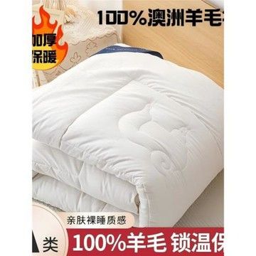 澳洲進口羊毛被100純羊毛冬季被子加厚保暖冬被羊絨被100棉被被芯