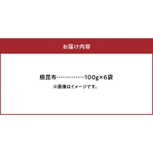 ふるさと納税 北海道 浜中町 根昆布　100g×6袋_H0007-020