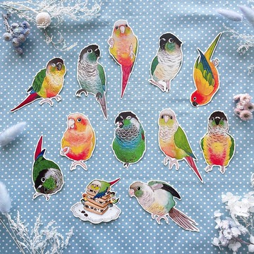 Rolia's 手作 小太陽鸚鵡 防潑水白底/防水透明白墨貼紙