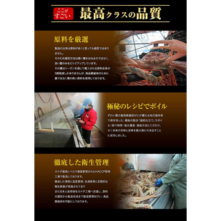 カニ かに 蟹 ズワイガニ 本ずわい足 総重量2.5kg 脚8〜12肩 正味2kg 5〜7人前 L〜2Lサイズ 焼き蟹 かに鍋 魚介類 海産物