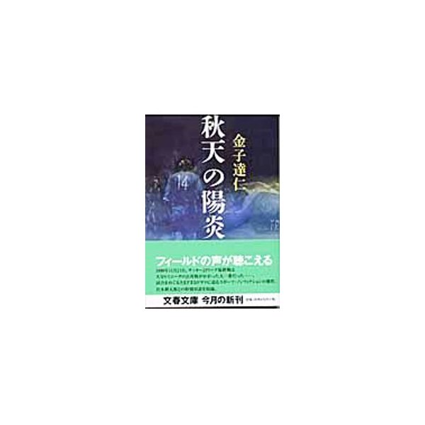 秋天の陽炎 金子達仁 通販 Lineポイント最大0 5 Get Lineショッピング