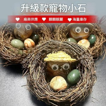 無用良品 升級款寵物小石 養死包賠 網紅養石頭 安靜可愛不需餵養 宿舍療癒擺飾 生日禮物 交換禮物 交換廢物 上課無聊