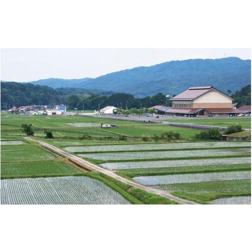 ふるさと納税 島根県 邑南町 令和5年産!邑南町産石見高原瑞穂米10kg（5kg×2） 定期便6か月　お届けコース