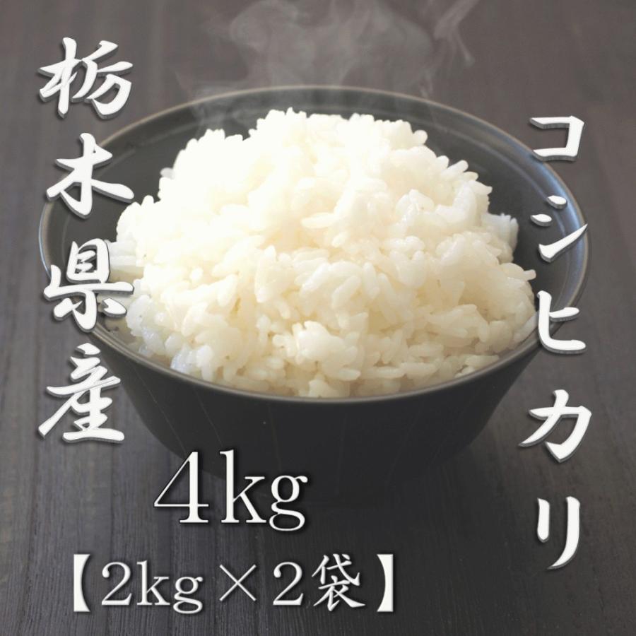 新米 栃木県産コシヒカリ 2kg×2袋 合計4kg