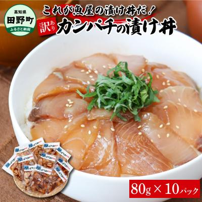 ふるさと納税 田野町 これが魚屋の漬け丼だ!〜カンパチ〜 《訳あり》 80g×10P