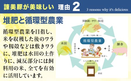 すっきり上質な脂身！長崎のブランド豚 諫美豚(かんびとん)のロースステーキセット800g