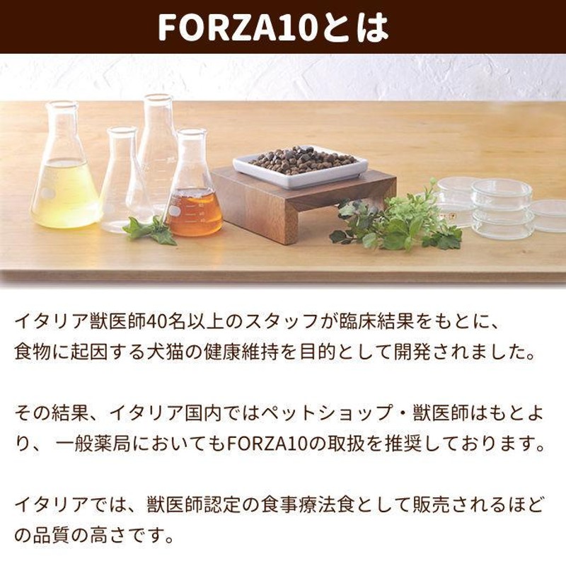 FORZA10｜猫用リナールアクティウェット(腎臓ケア) 100g×12缶セット