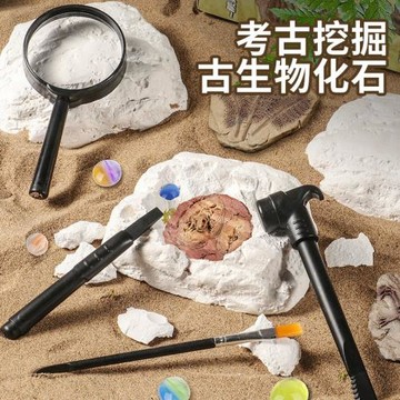 跨境兒童益智科教考古玩具挖掘古生物恐龍化石探秘尋寶認知恐祖鳥