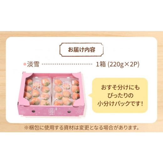 ふるさと納税 佐賀県 白石町 ほんのりピンク白いちご希少な「淡雪」220g×2パック [IAP005]