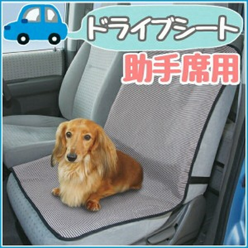 ペット ドライブシート 助手席用 Pdse 60 おでかけ お出かけ 旅行 車 犬 ドッグ カー用品 アイリ 通販 Lineポイント最大1 0 Get Lineショッピング