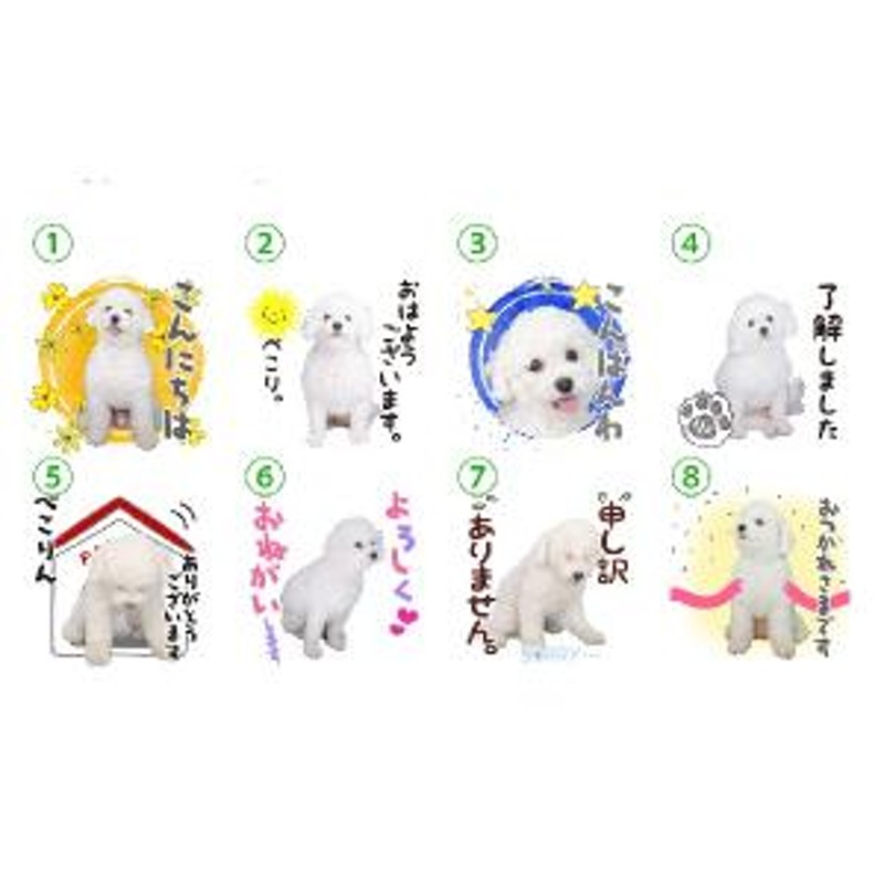 うちの子LINEスタンプ （あいさつ丁寧語セット） 写真でつくるオリジナルLINEスタンプ 犬用 | LINEブランドカタログ