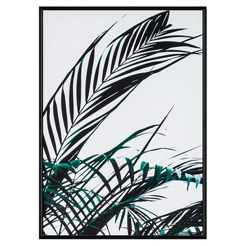 夏日清晨 棕櫚葉藝術掛畫 黑色邊框  59.4 x 42cm  黑色